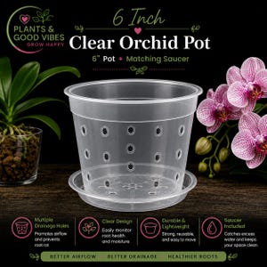 May include: A 6-inch clear plastic orchid pot with a matching saucer. The pot features multiple drainage holes along the sides and base. Text on the image includes 6 Inch Clear Orchid Pot, 6 Pot + Matching Saucer, and Plants & Good Vibes.