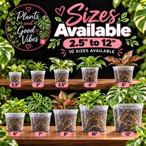 May include: A display of ten potted plants in clear plastic containers, ranging from 2.5 to 12 inches in size. The text reads "Plants and Good Vibes" and "Sizes Available 2.5" to 12" 10 SIZES AVAILABLE" with labels under each plant.