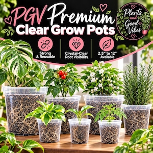 May include: A collection of clear plastic grow pots in various sizes, each filled with soil and plant roots visible through the sides. The image features text reading PGV Premium Clear Grow Pots, Strong & Reusable, Crystal-Clear Root Visibility, 2.5 to 12 Available, and Plants and Good Vibes.