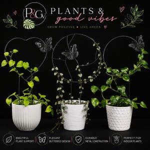 Butterfly Plant Trellis | Heart, Butterfly Circle & Ring Plant Support | Metal Indoor Plant Trellis | Pothos, Hoya, Philodendron Climber