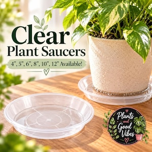 May include: Clear plastic plant saucers with a circular design. The text reads Clear Plant Saucers 4, 5, 6, 8, 10, 12 Available. A potted plant sits on one saucer, while another empty saucer is placed in the foreground.