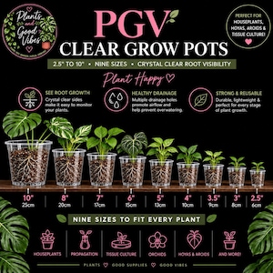Clear Nursery Pots with Drainage | PGV Clear Grow Pots | 2.5"–10" Plastic Plant Pots | Orchid, Hoya, Monstera & Houseplants | Clear Planter