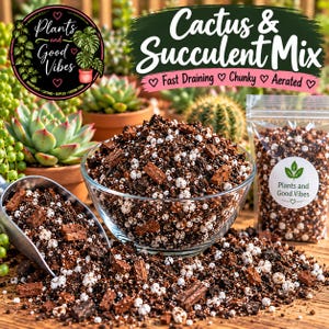May include: A potting soil mix for cacti and succulents in a clear glass bowl and a plastic bag, both labeled Plants and Good Vibes. The dark brown soil contains white perlite and brown wood chips. A metal scoop rests in the soil mixture.
