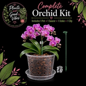 May include: A complete orchid kit featuring a vibrant purple orchid plant in a clear, perforated plastic pot with a matching saucer. The kit includes a green support stake and a clear plastic clip to secure the orchid stem, all displayed against a black background with decorative leaf accents.