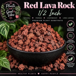 Roca de lava roja de 1/2 pulgada / Roca de lava hortícola para plantas / Enmienda de suelo / Mezcla para macetas de bonsáis, aráceas, orquídeas y suculentas / Mezcla de tierra personalizada