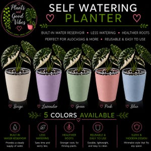 Op de afbeelding: Vijf zelfbewaterende plantenbakken in beige, lavendel, groen, roze en blauw, elk met een bonte Alocasia-plant. De tekst bevat SELF WATERING PLANTER, 5 COLORS AVAILABLE en kenmerken zoals een ingebouwd waterreservoir en gezondere wortels.