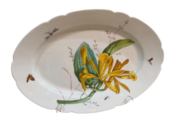 Antique Old Paris Botanical Platter Hand-Painted Yellow Orchid Insects 1840-1889
