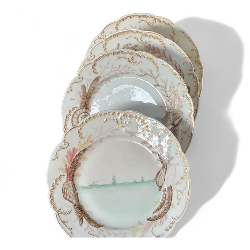 Painted Seashells - Etsy