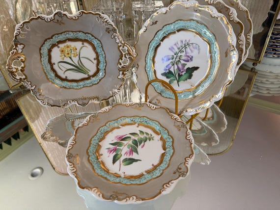 Warm Gray Botanical Dessert Set with Serving Dish Timeless Pretty China