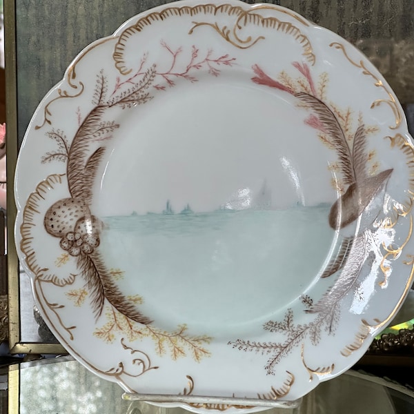Seashell Trim - Etsy