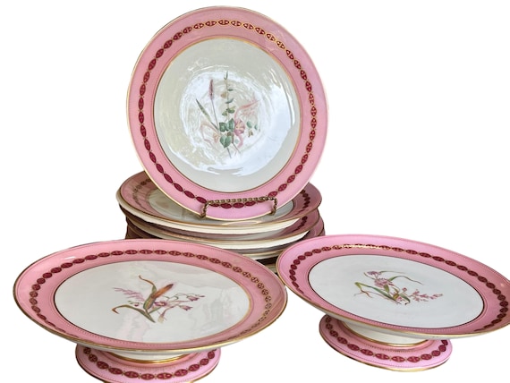 8PcAntique Pink Minton Botanical Dessert Set Family Heirloom China Hand Painted Wildflowers Jeweled Beaded Trim Wedding Gift for Newlyweds