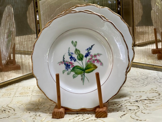 6 Antique Royal Worcester Botanical Dessert Plates, Crisp White  Ground, Hand Painted Flowers, Scalloped Gilded Rims, Circa 1870