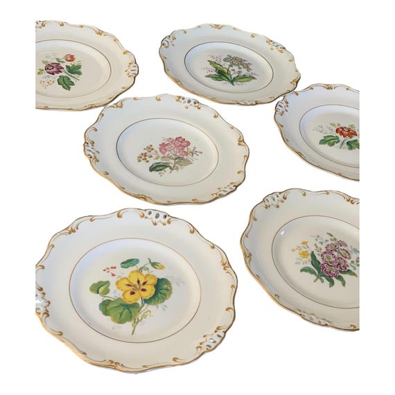 Rare Antique Davenport  Botanical Dessert Plates: Hand-Painted Florals  Scalloped Gilt Rims  Heirloom  Display