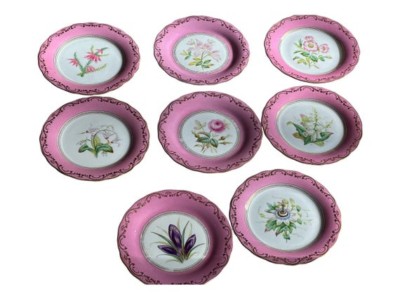 Antique Botanical Dessert Plates: 8 Hand-Painted Floral Pieces with Pink Border and Gilded Rims 1850