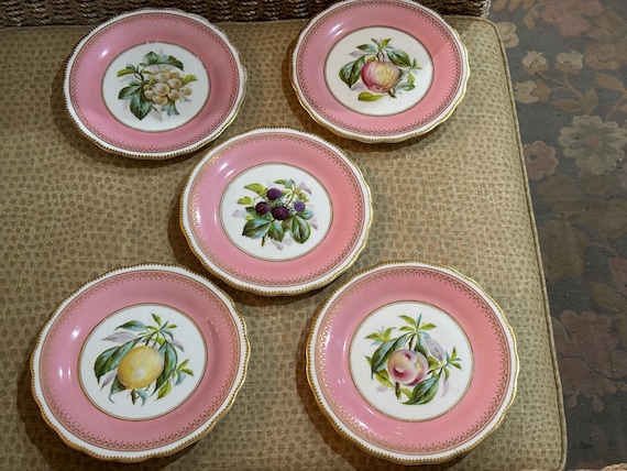 1850 Antique Hand-Painted Botanical Fruit Dessert Plates:Pink Border Gilded Rims Set of 5