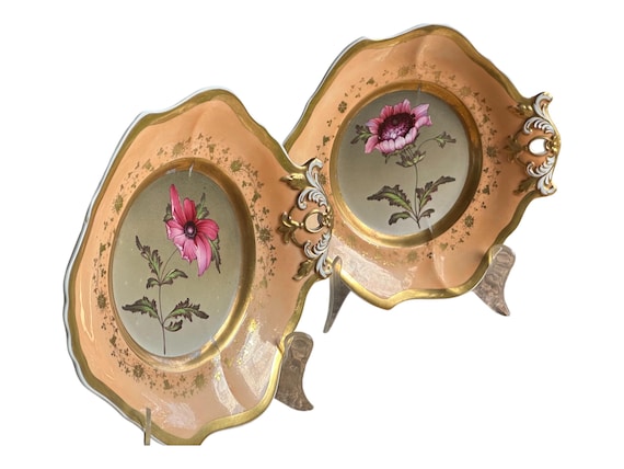 Rare Pair Antique Samuel Alcock Botanical Display Plates w Peach Border, One Handle, Gilded Scalloped Rims, Heirloom Quality, Circa 1827