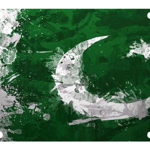May include: A rectangular metal license plate featuring a distressed, paint-splatter design of the Pakistan flag. The design includes a white crescent moon and a five-pointed star set against a deep green background with white vertical accents.