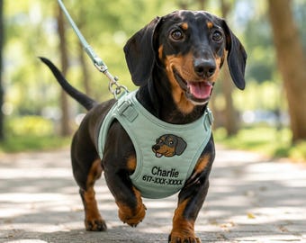May include: A black and tan dachshund wearing a sage green dog harness with a matching leash. The harness features an embroidered dachshund graphic, the name Charlie, and the text 617-XXX-XXXX printed in black on the chest panel.