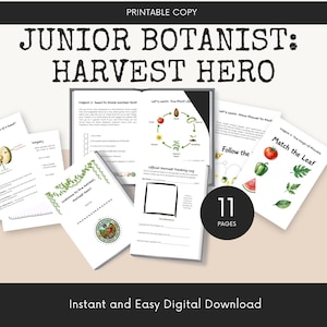 Caderno de Atividades sobre o Ciclo de Vida das Plantas para Crianças, Ciência das Sementes e Caça ao Tesouro no Jardim, PDF Imprimível para Educação Domiciliar, Pequeno Botânico Herói da Colheita