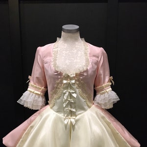 Rococo Marie Antoinette Dress Costume
