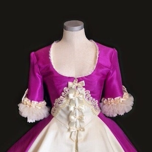 Marie Antoinette Rococo Custom Costume