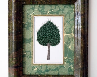 Islamic miniature art, ebru | Maple Tree in Ebru Frame