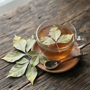 Könnte beinhalten: Eine Teetasse aus klarem Glas, gefüllt mit bernsteinfarbener Flüssigkeit und einem dreiteiligen getrockneten Blatt, das an der Oberfläche schwimmt. Die Tasse steht auf einer runden Terrakotta-Untertasse neben einem kleinen, dunkel glasierten Keramiklöffel.