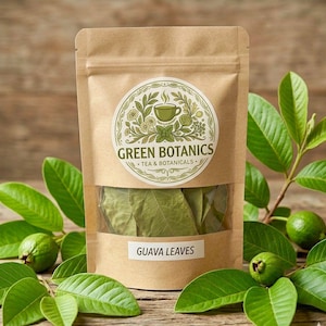 500+ Dried Guava Leaves for Tea, Psidium Guajava Natural Botanical Ingredient