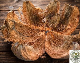 May include: A fibrous, brown coconut husk opened into a flower-like shape with coarse, tangled strands. A circular logo in the corner features a teacup icon and the text GREEN BOTANICS TEA & BOTANICALS surrounded by botanical illustrations.