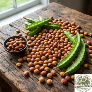 Peut inclure: Un petit bol sombre rempli de haricots ronds marron, entouré de haricots marron en vrac et de plusieurs haricots ailés vert vif. Le logo Green Botanics Tea & Botanicals est visible dans le coin inférieur droit de l'image.