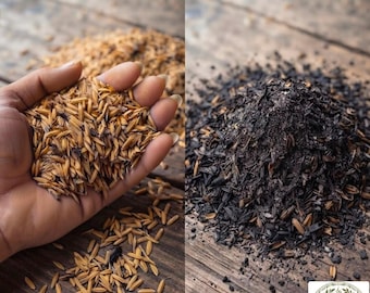 Natural Rice Husk for Gardening, Burned or Not Burned, Potting Mix Ingredient