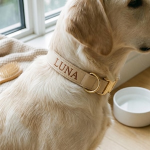 Pode incluir: Uma coleira para cão em bege claro com o nome LUNA gravado em letras castanho-escuras. A coleira possui uma fivela de metal dourado e um anel em D a condizer, usada por um cão de pelo claro e focinho escuro.