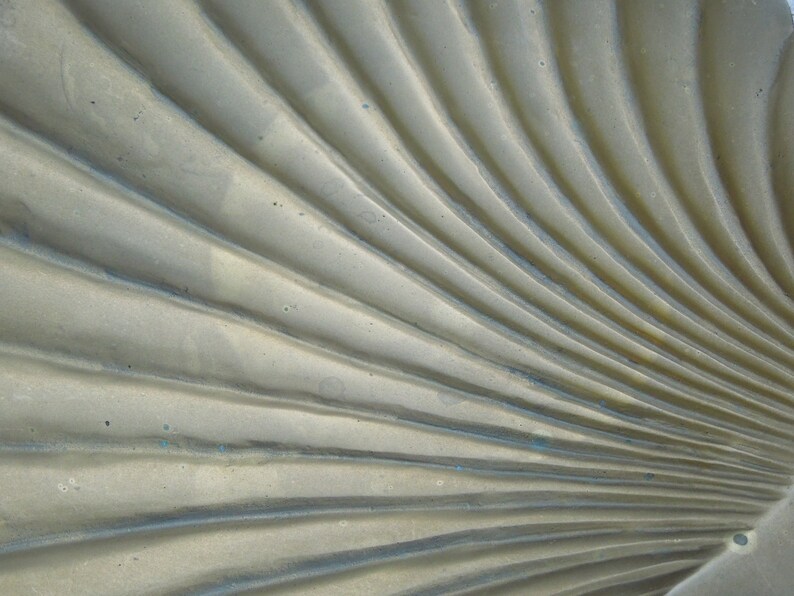 May include: A close-up of a textured, light gray surface with a fan-like pattern. The surface has a subtle sheen and appears to be made of metal.