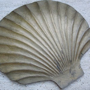 May include: A large, gold-colored seashell with a detailed, ribbed texture. The shell is slightly open, revealing the inside.