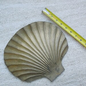 May include: A gold-colored metal seashell dish with a ribbed texture. The dish is approximately 6 inches wide.