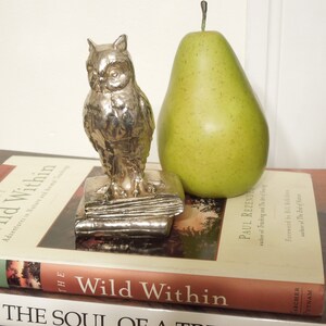 Silver Plated Owl Of Wisdom, Graduation Gift, Night Stalker, Gift Of Knowledge, FREE SHIPPING!!
