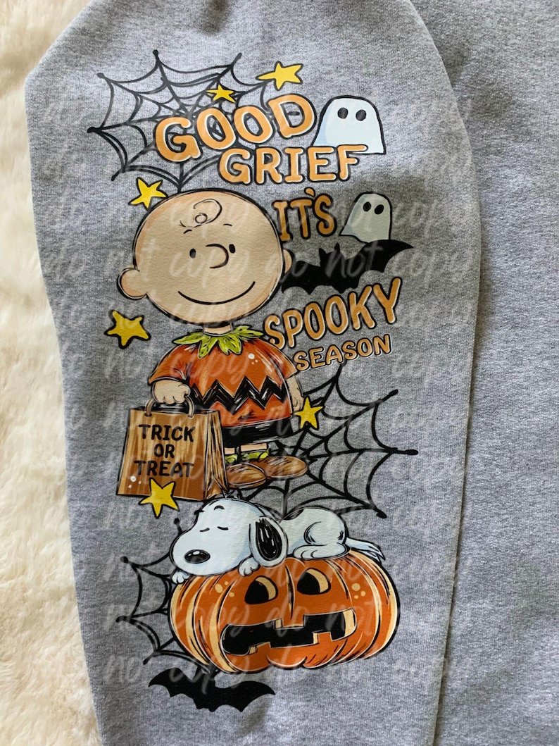 May include: A heather gray sweatshirt featuring a graphic of Charlie Brown in a pumpkin costume holding a trick or treat bag and Snoopy resting on a jack-o'-lantern. The text reads GOOD GRIEF IT'S SPOOKY SEASON. Includes spiderwebs, stars, ghosts, and bats.