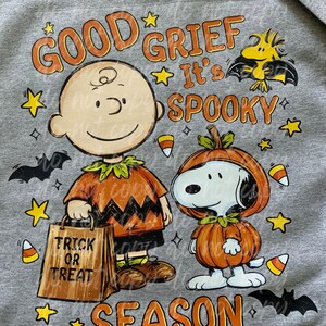 May include: A heather gray t-shirt featuring a graphic of Charlie Brown and Snoopy in Halloween costumes. Charlie Brown holds a brown trick or treat bag. Snoopy wears a pumpkin suit. Text reads: Good Grief It's Spooky Season, with bats, stars, and candy corn.