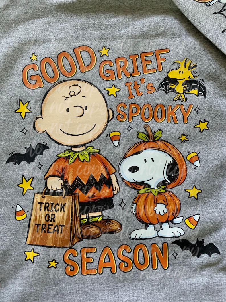 May include: A heather gray t-shirt featuring a graphic of Charlie Brown and Snoopy in Halloween costumes. Charlie Brown holds a brown trick or treat bag. Snoopy wears a pumpkin suit. Text reads: Good Grief It's Spooky Season, with bats, stars, and candy corn.