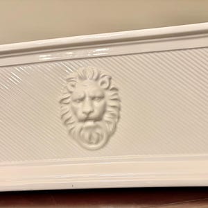 May include: A rectangular white ceramic planter featuring a central embossed lion head relief. The front panel displays a diagonal ribbed texture, while the side panels are decorated with a vertical grid pattern and a wide, flat base.
