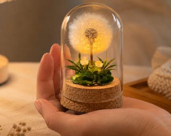 Lámpara de noche con cúpula de cristal y diente de león preservado, mini lámpara LED con base de corcho, decoración de mesita de noche con flores naturales, regalo Fairycore para ella, flor seca de 8 cm.