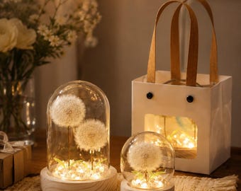 Lámpara de techo con cúpula de cristal y diente de león preservado, exhibición de flores secas reales, luz nocturna botánica artesanal, caja de regalo romántica para la decoración del hogar.