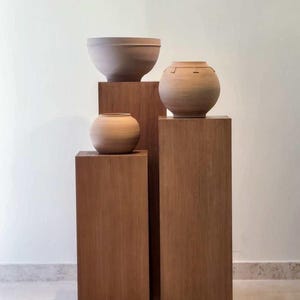 May include: Three terracotta-colored ceramic vessels displayed on three wooden pedestals of varying heights. The collection includes one wide, open-top bowl and two rounded, spherical pots with narrow openings, all featuring a smooth, matte finish.