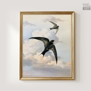 Könnte beinhalten: Ein gerahmter Kunstdruck, der zwei dunkel gefärbte Schwalben im Flug vor einem Hintergrund aus weichen, blassen Wolken an einem hellblauen Himmel zeigt. Das Kunstwerk ist in einem dünnen, goldfarbenen Metallrahmen gefasst. Der Text QUIET LIVING ART ist sichtbar.