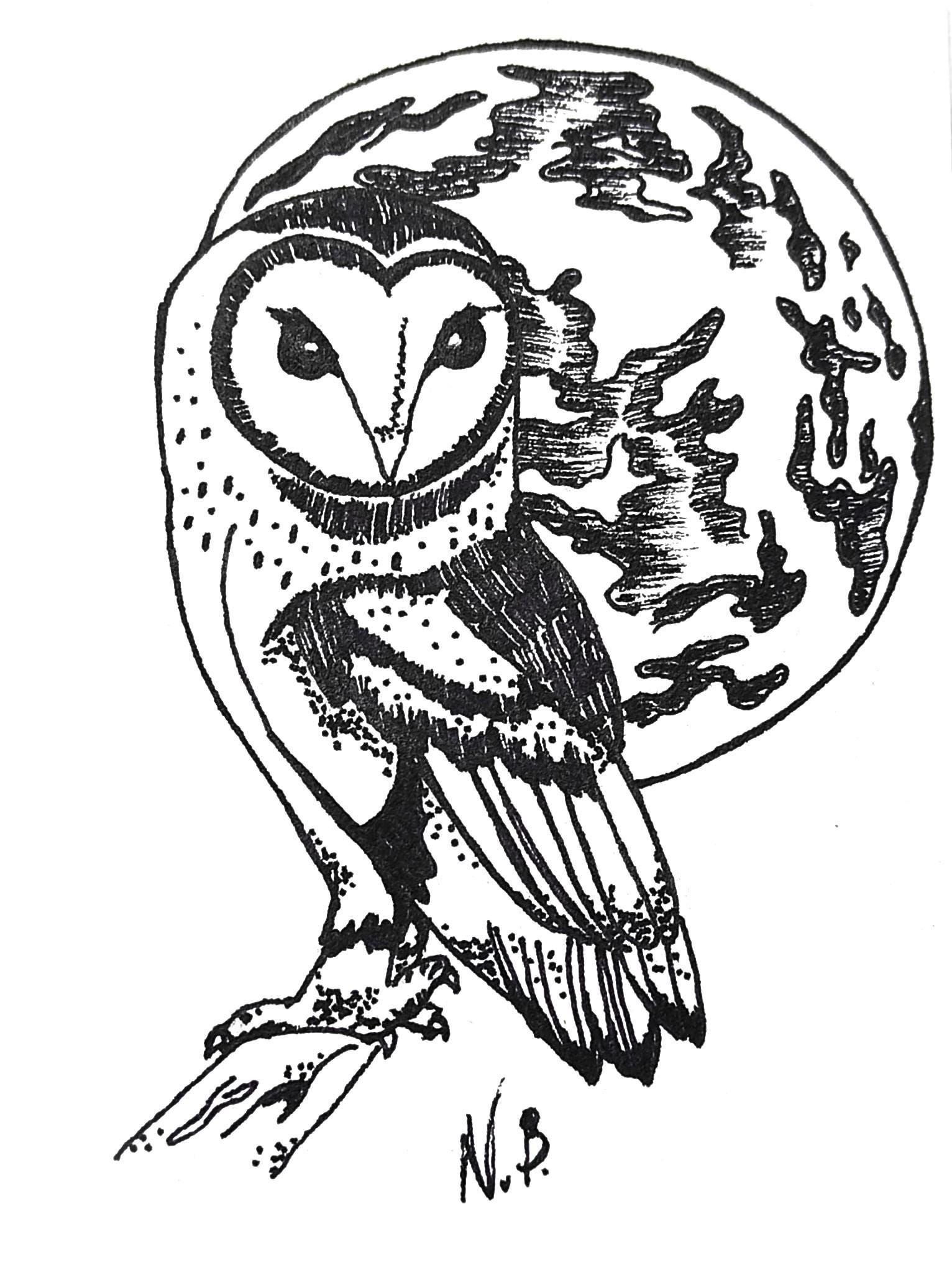 Owl art, ink drawing, physical art, Not a Print, Original art, animal art, ink art, moon, full moon,
