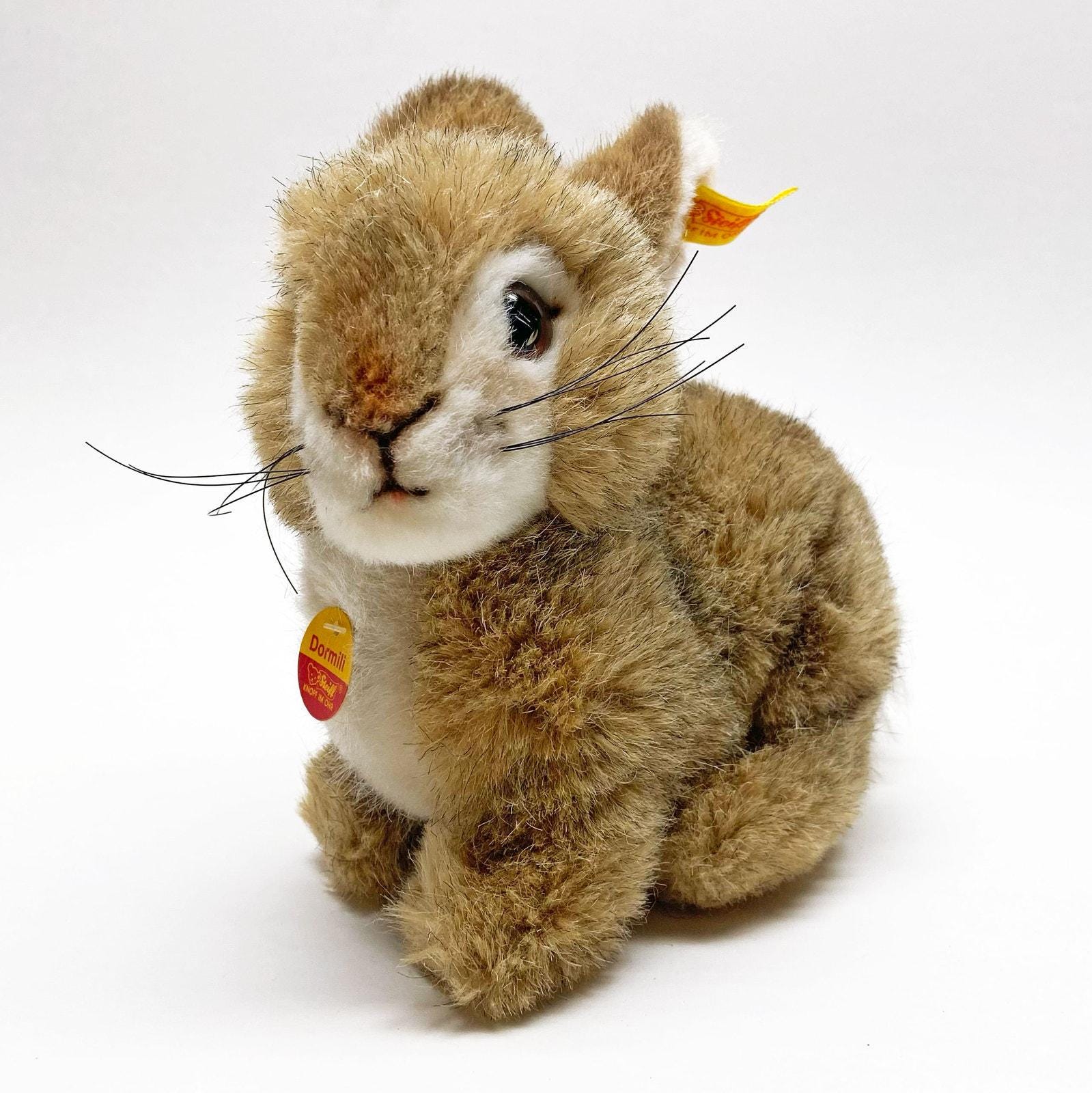 シュタイフ 7317 Floppy Hansi 美品 Steiff Record Hansi - Etsy Canada
