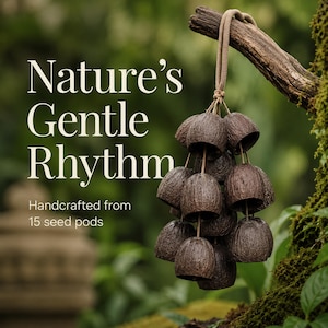 Peut inclure: Un carillon éolien composé de 15 gousses de graines brun foncé texturées suspendues à un cordon beige. Le texte sur l'image indique : Nature's Gentle Rhythm, Handcrafted from 15 seed pods. Les gousses sont disposées en grappe, chacune creuse.