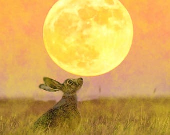 Harvest Moon Hare -  art print by  Dave smith