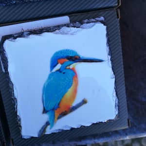 Kingfisher   Slate Coaster