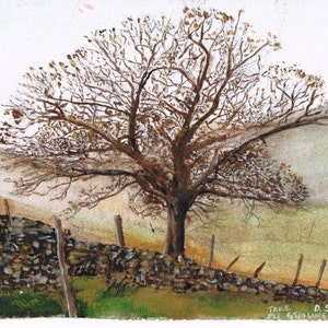 Tree of Life at Stalling Busk  - Print 11.5 x8.5 of Original Water Colour